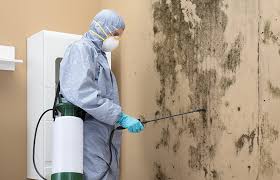 Tipton, CA Mold Prevention & Removal  Company